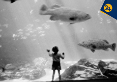 آنچه از خواب، خوراک و بازی برای کودکانتان مهم‌تر است | راز حیرت