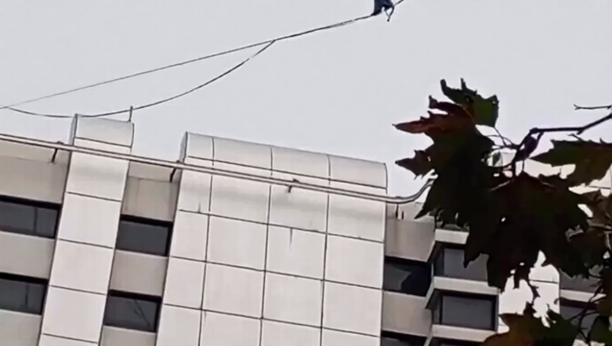 ببینید| جدیدترین فیلم دختر بندباز شهریار