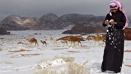 ببینید| بارش برف در عربستان