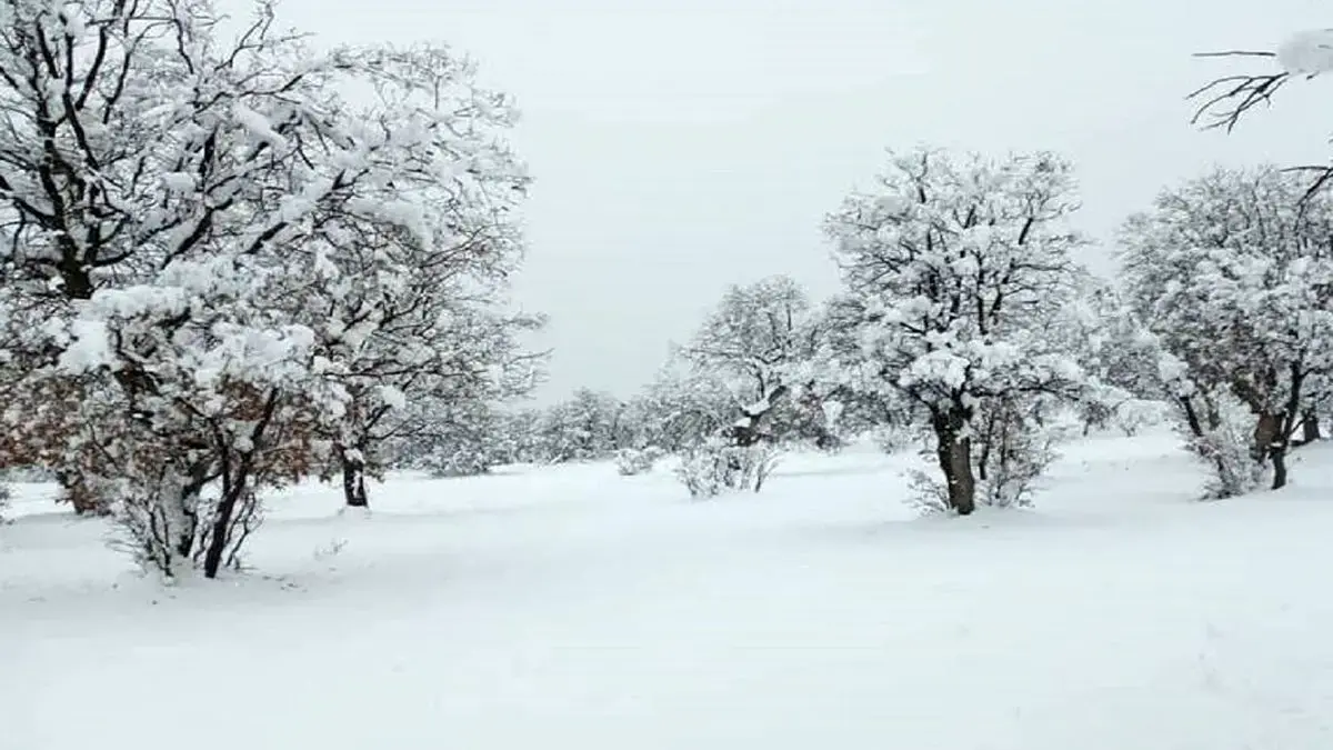 ببینید| ارتفاع برف در روستا‌های کاشان به نیم‌متر رسید