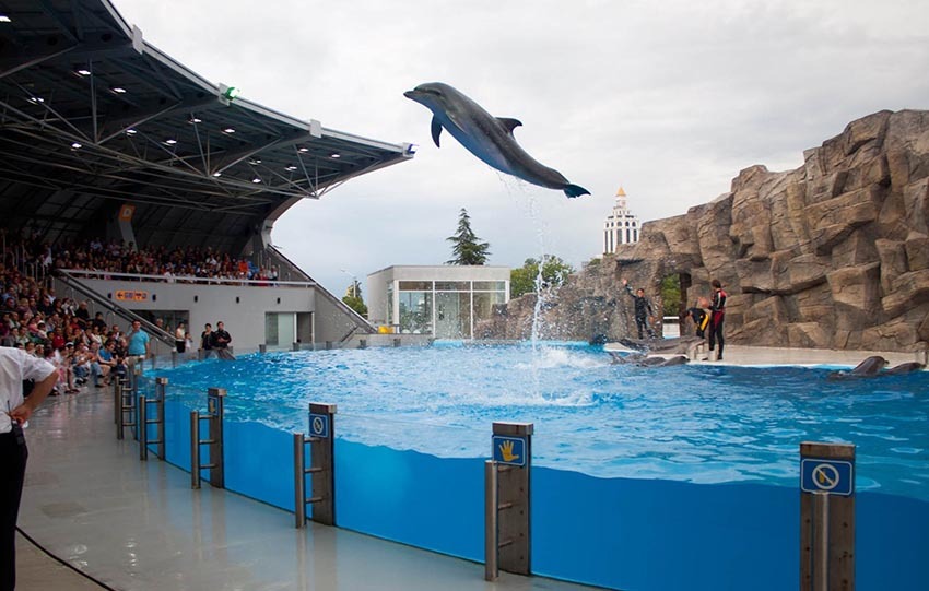 بهترین جاهای دیدنی باتومی گرجستان که نباید آنها را از دست بدهید دلفیناریوم باتومی