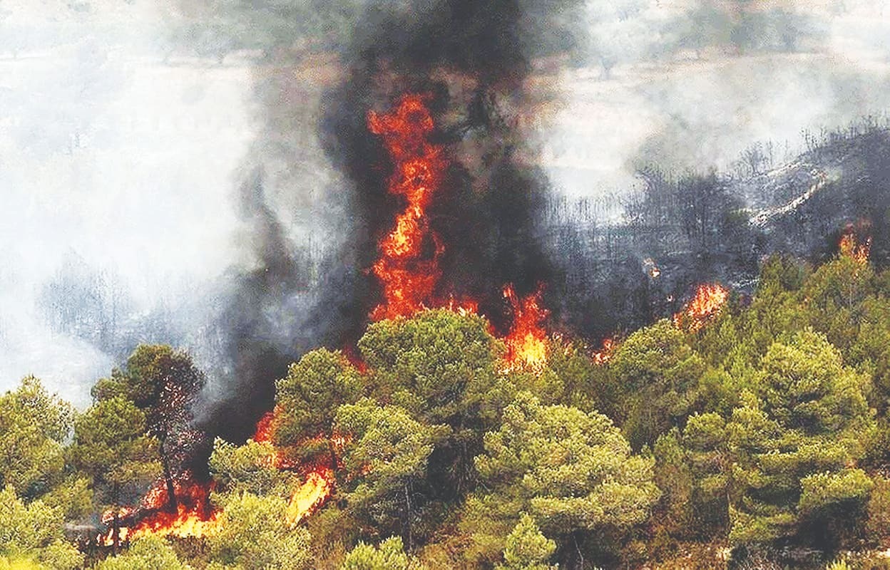 رییس سازمان منابع طبیعی: وجود عامل انسانی در آتشسوزیهای الیت قطعی است آتشسوزی الیت