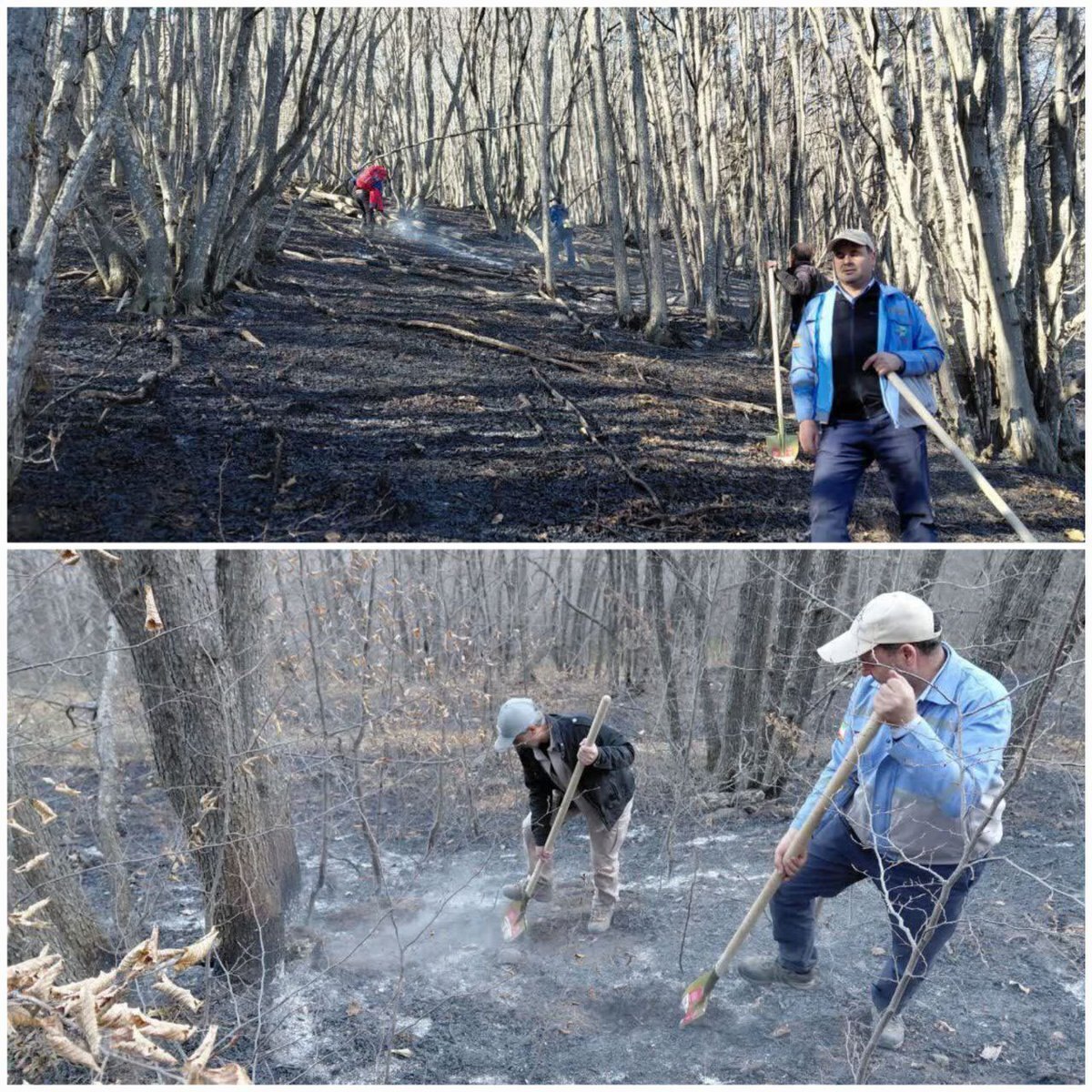 عکس یادگاری صادق میکائیلی، فرماندار ورزقان در حال خاموش کردن آتش جنگلهای دیزمار عکس یادگاری صادق میکائیلی، فرماندار ورزقان در حال خاموش کردن آتش جنگلهای دیزمار