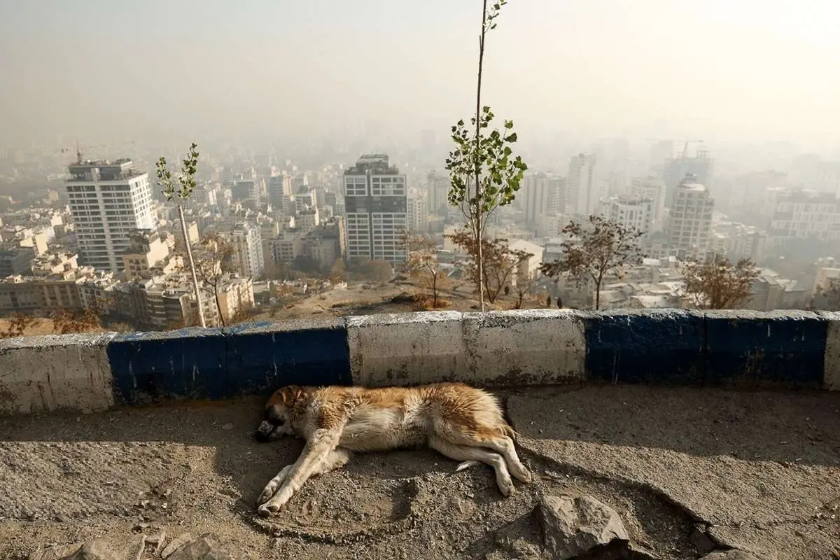 آلودگی هوا نفس پایتخت را برید؛ جهش ۱۵ درصدی ماموریتهای تنفسی اورژانس آلودگی هوا