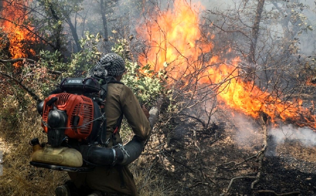سازمان منابع طبیعی: آتش زدن جنگل الیت کار شکارچیان غیرمجاز است