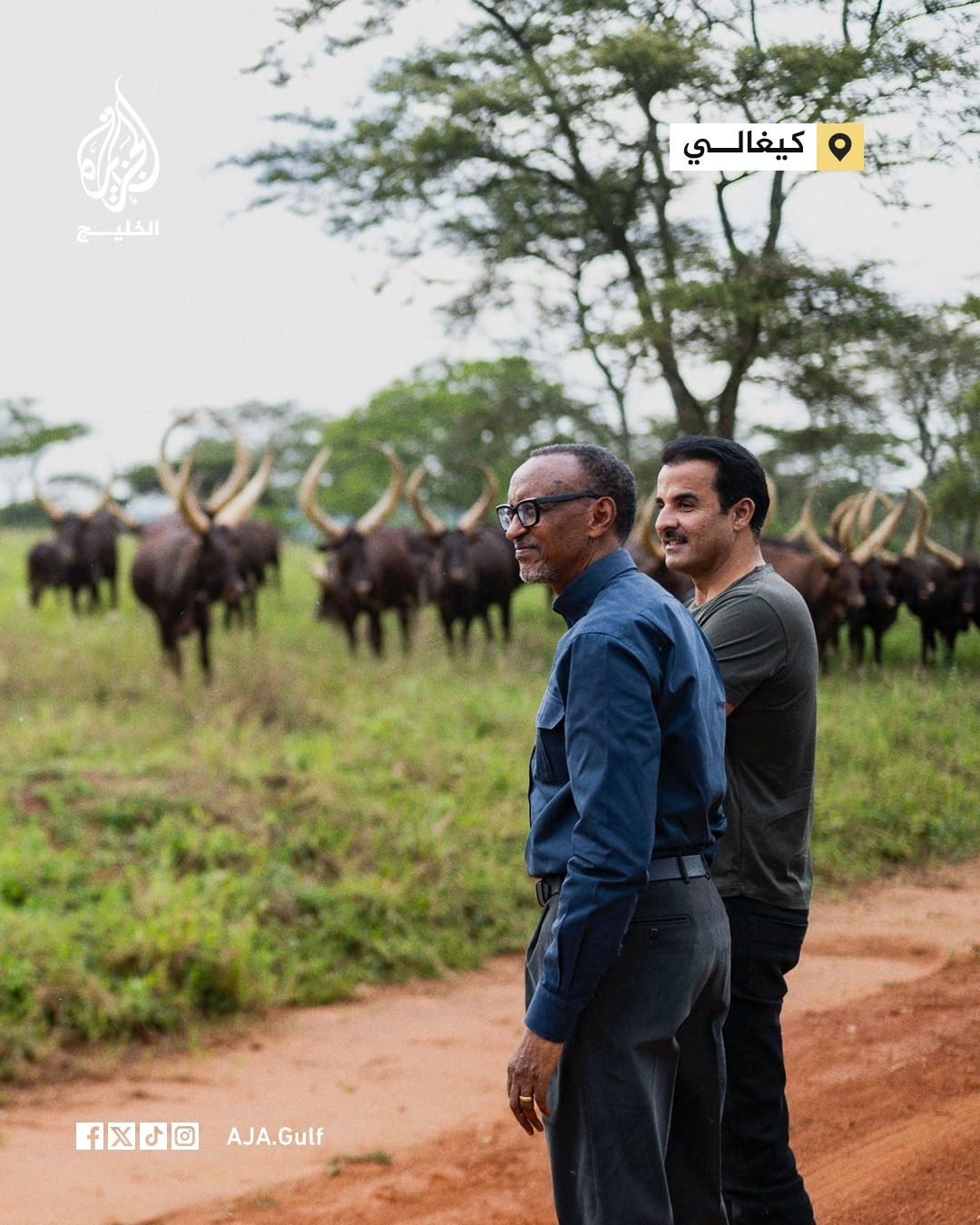 عکس| مدل گوشی امیر قطر خبرساز شد عکس| مدل گوشی امیر قطر خبرساز شد