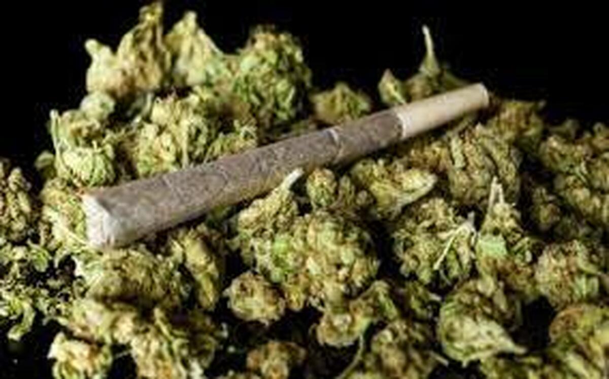 هشدار روان‌پزشک: گل ایرانی، مخرب‌ترین ماده اعتیادآور