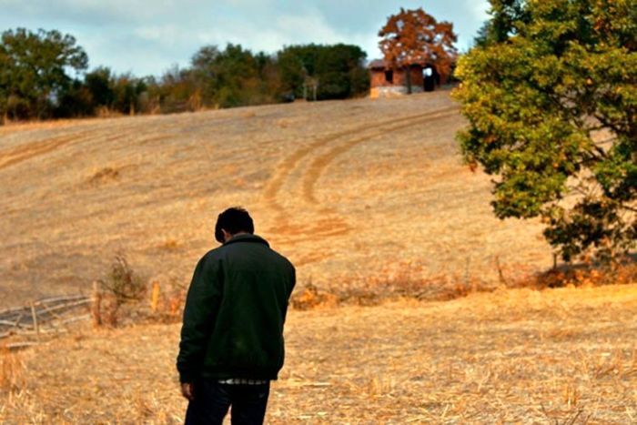 نوری بیگله جیلان کیست؟| فیلمساز مولف ترک با نگاهی فلسفی و انسانی به جهان فیلم درخت گلابی وحشی جیلان