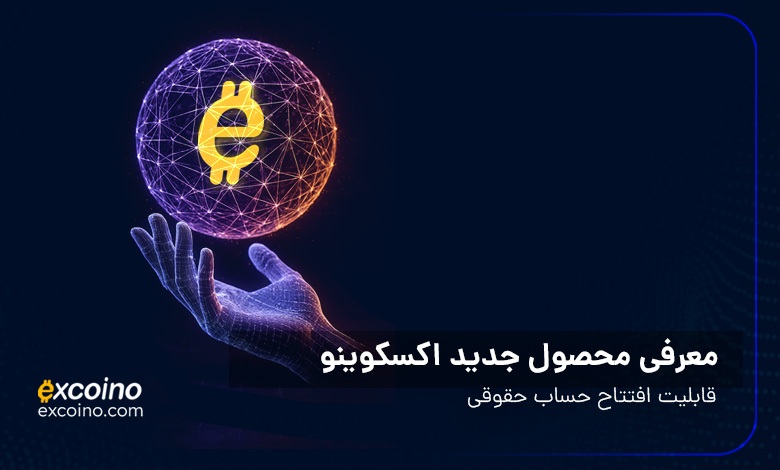 پنل حقوقی اکسکوینو؛ گامی به سوی شفافیت در سرمایه گذاری سازمانی