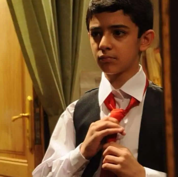 علی شادمان در سریال سرزمین مادری