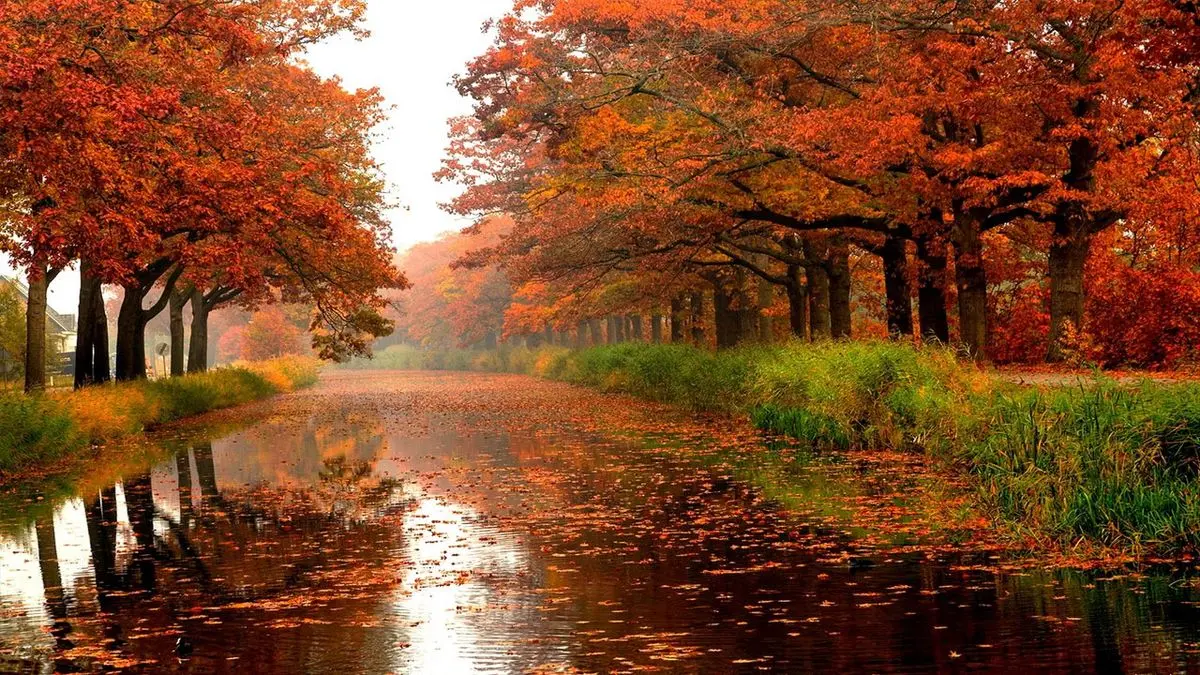 ۱۰ مورد از بهترین مقاصد داخلی برای سفر در پاییز بهترین مقاصد داخلی برای سفر در پاییز