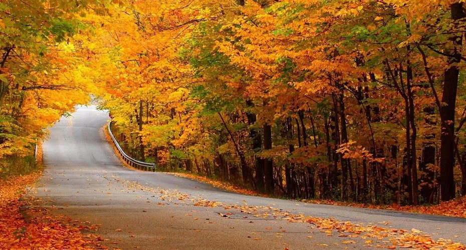 ۱۰ مورد از بهترین مقاصد داخلی برای سفر در پاییز جاده اسالم به خلخال