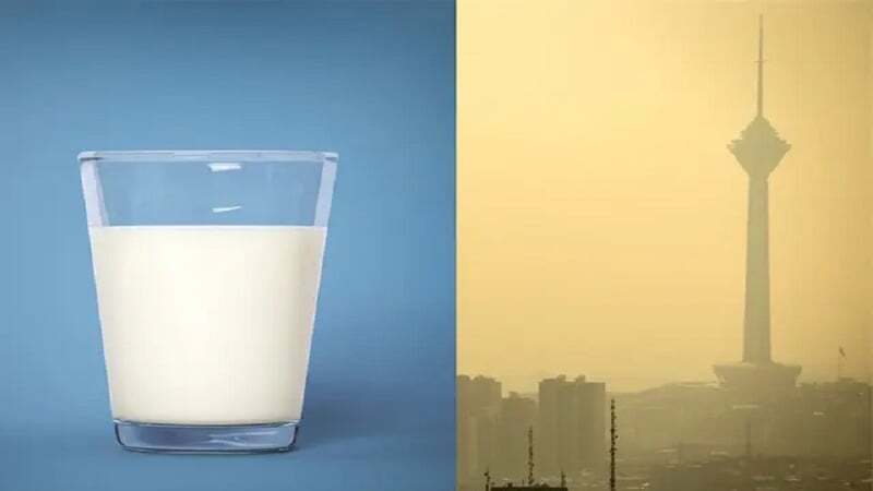 آیا واقعا شیر برای آلودگی هوا مفید است؟ شیر برای آلودگی هوا