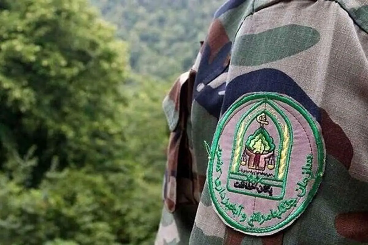 شهدای حمله به سازمان منابع طبیعی