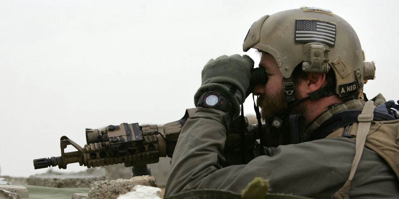 گروه توسعه جنگاوری ویژ