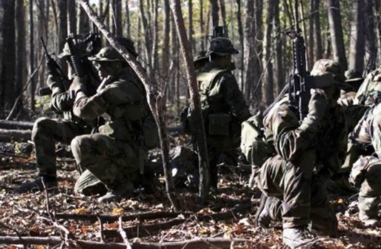 گروه توسعه جنگاوری ویژ