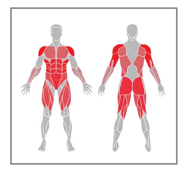 تاثیر ورزش در خانه با صندلی بر روی بدن