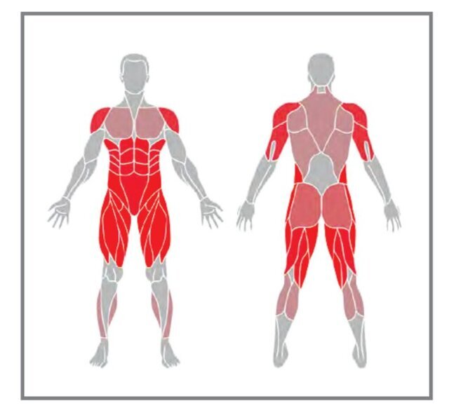 ورزش در خانه با مبل و صندلی برای چربی سوزی