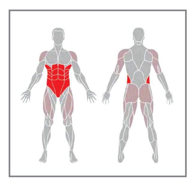تاثیر تمرین پلانک بر بدن