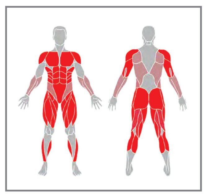 ورزش در خانه؛ تمرینات مؤثر برای تقویت آمادگی جسمانی