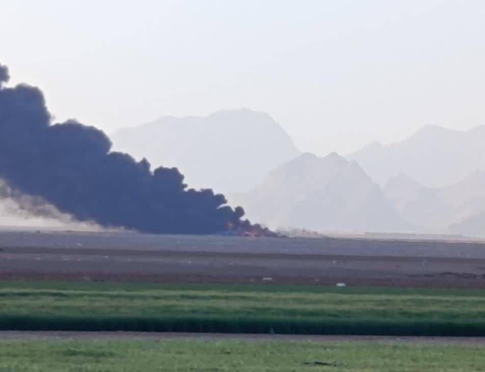 پرنده دشمن امریکایی