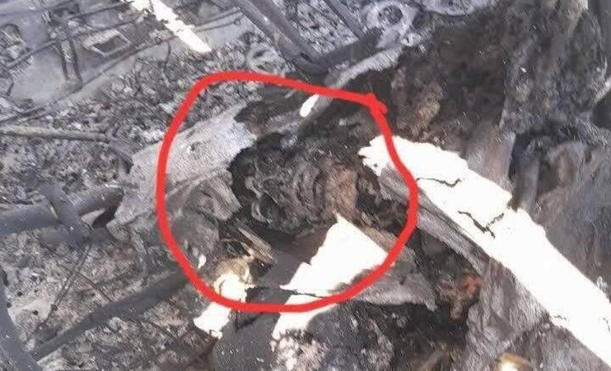 ببینید| گزارش صدا و سیما درباره جسد سوخته خلبان آمریکایی در میان هواپیمای منهدم شده