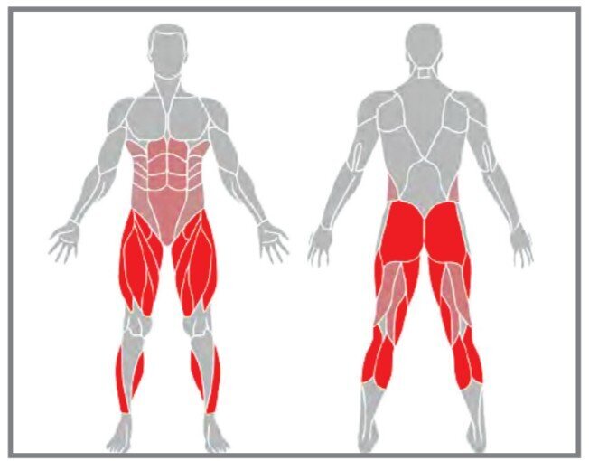 تاثیر ورزش ها زانو بلند و اسکات پرشی بر روی بدن