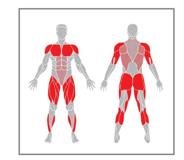 ورزش در خانه؛ تمرین ویژه برای کل بدن