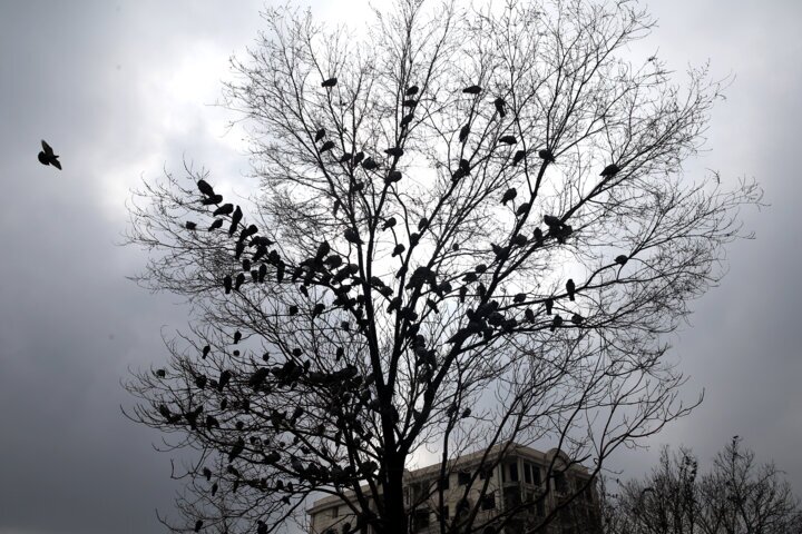 فعال شدن سامانه بارشی در تهران