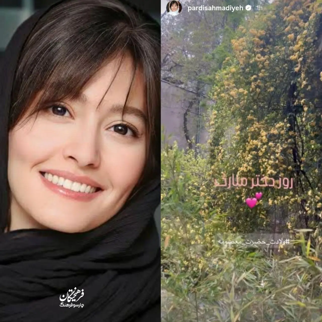 عکس| استوری تبریک پردیس احمدیه به بهانه روز دختر