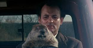 روز موش خرما Groundhog Day
