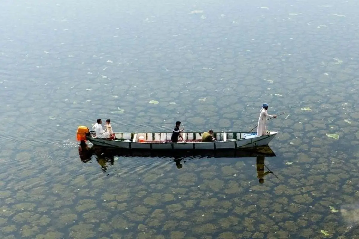 «هور الهویزه» زنده شد