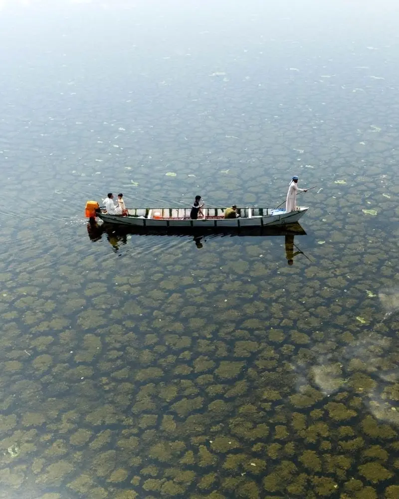«هور الهویزه» زنده شد