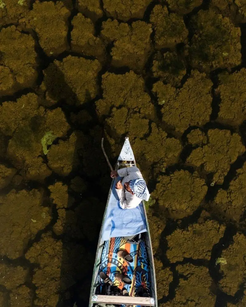 «هور الهویزه» زنده شد