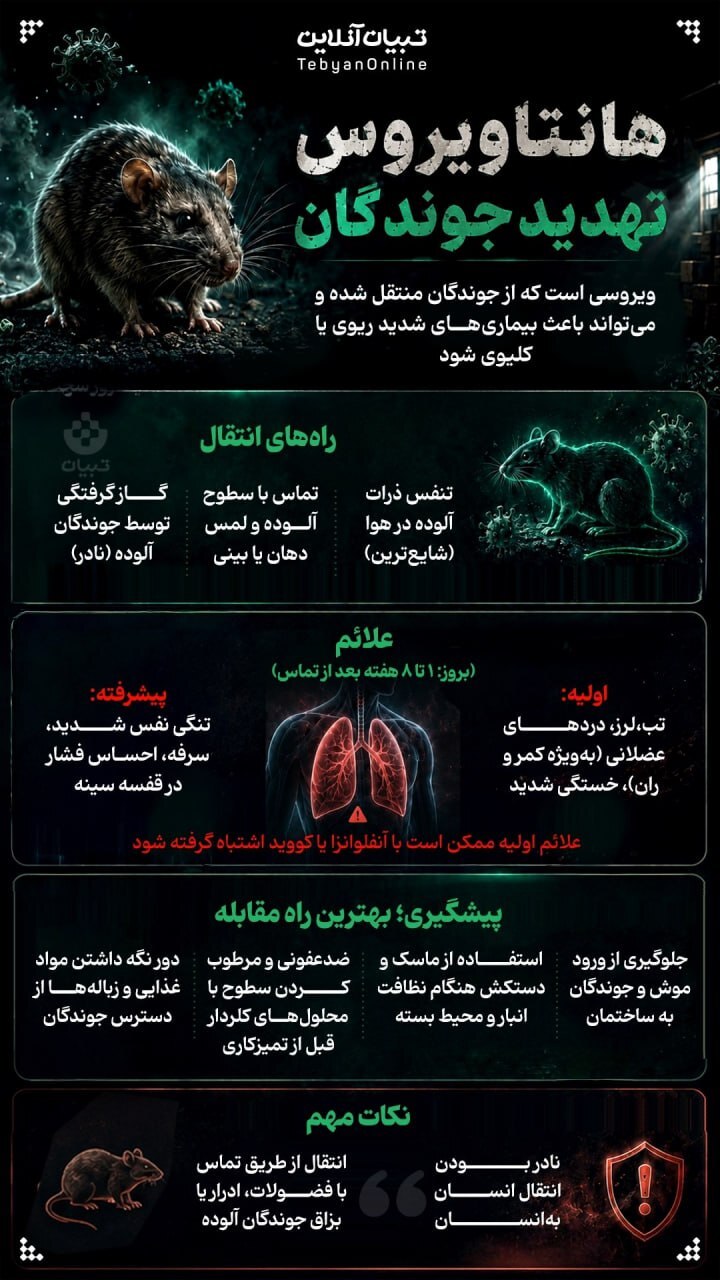 اینفوگرافی | هانتاویروس چیست؟؛ پس از خفاش‌ها، نوبت به موش‌ها رسیده است!