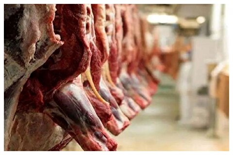 نرخ عوارض واردات گوشت قرمز تعیین شد
