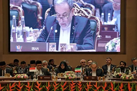 اجلاس بریکس بدون بیانیه پایانی به پایان رسید