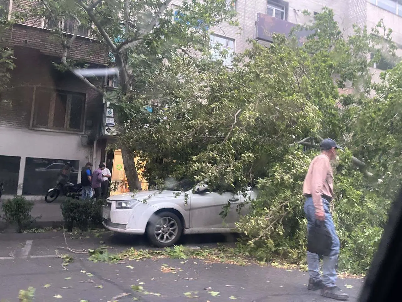 سرعت وزش باد در تهران به ۹۰ کیلومتر بر ساعت رسید