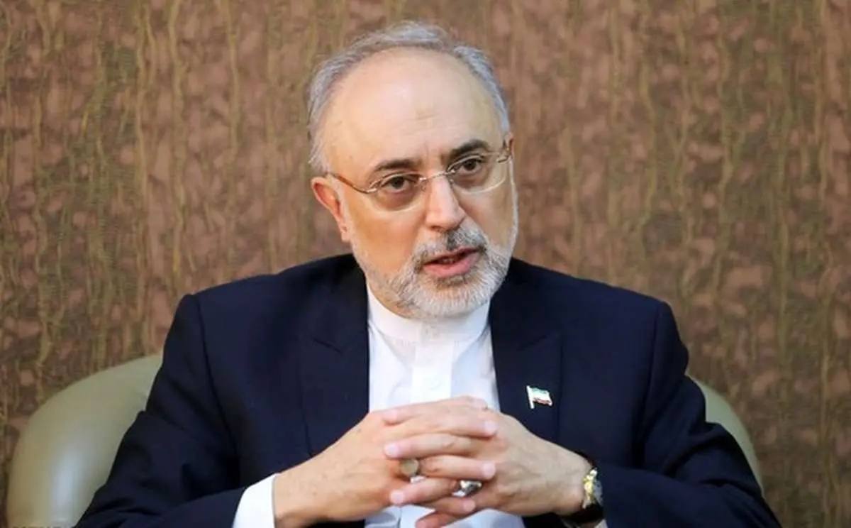 صالحی: درونگرا و منزوی شدیم؛ تکلیف روابط بینالملل ما روشن نیست صالحی