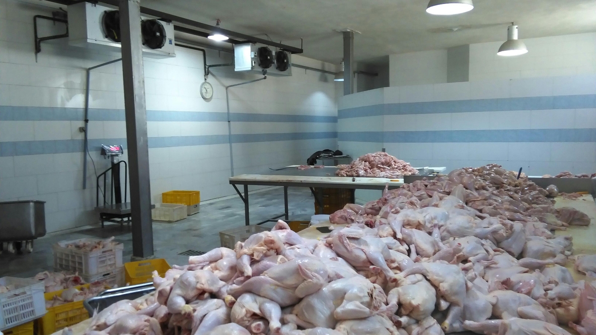قطعهبندی گوشت مرغ ممنوع شد قطعهبندی گوشت مرغ