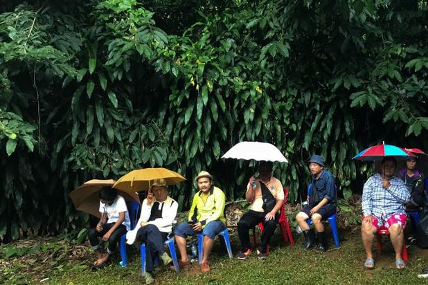 جوانان تایلند