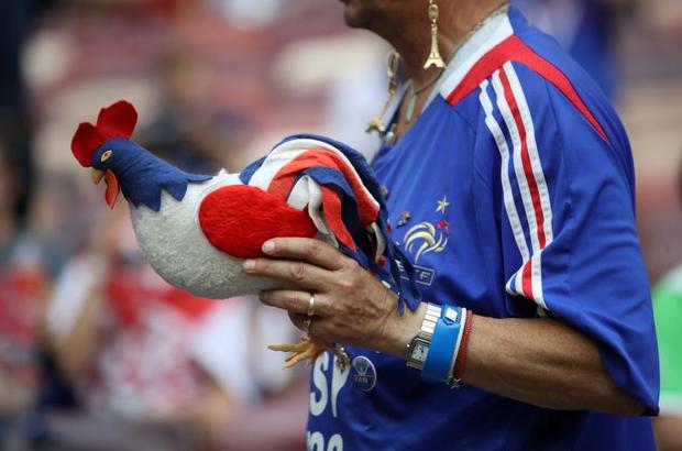 هوادران فرانسه