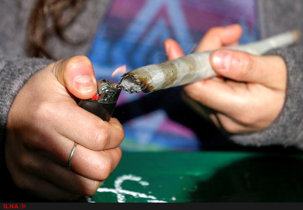 آزاد شدن مصرف مخدر ماری جوانا در کانادا 
