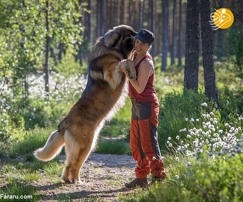 دختر توریست