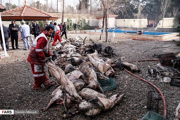 سقوط هواپیما