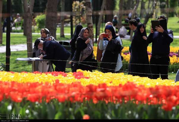 گل لاله مشهد