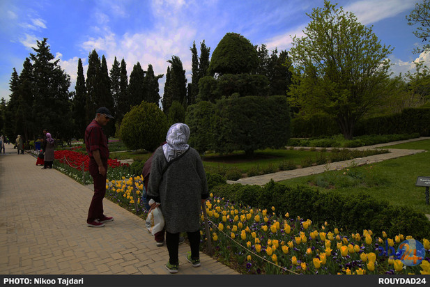 باغ گیاه شناسی_ تاجداری