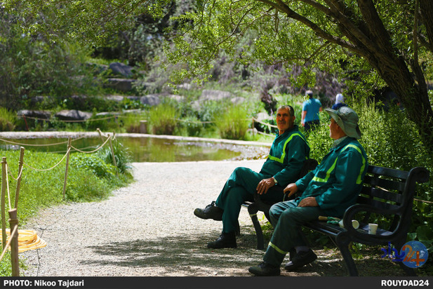 باغ گیاه شناسی_ تاجداری