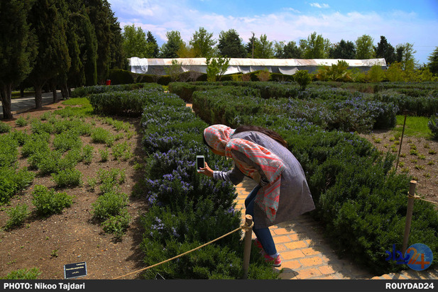 باغ گیاه شناسی_ تاجداری