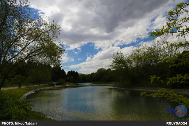 باغ گیاه شناسی_ تاجداری